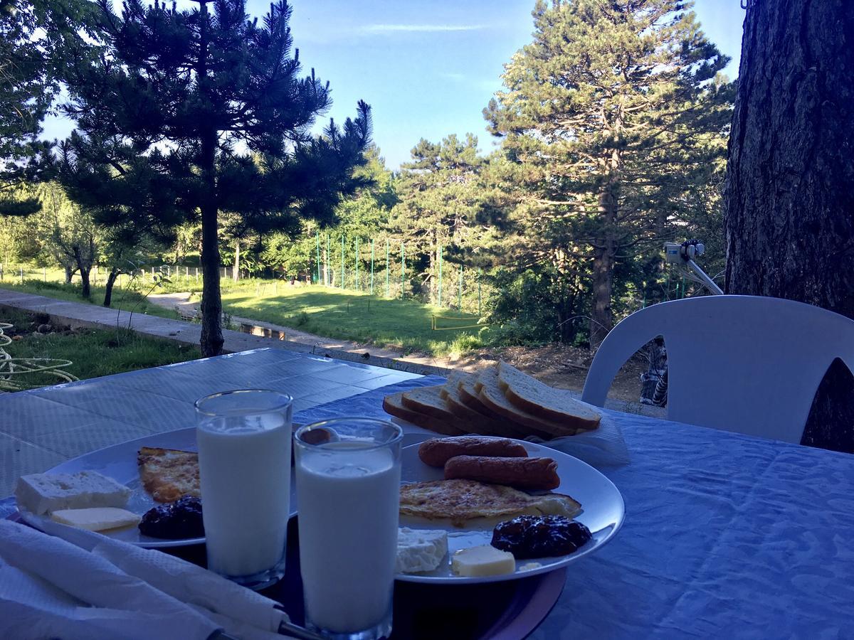 Shkreli Resort Qafeshtame Cudhi-Kamt 外观 照片